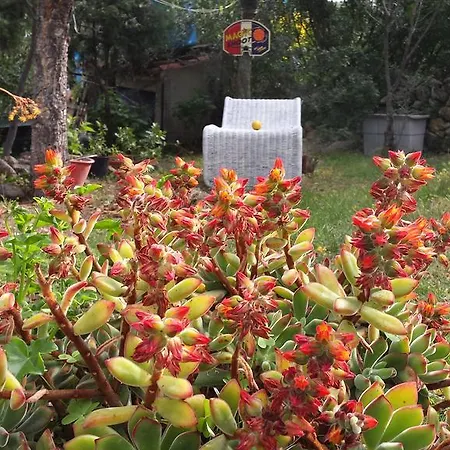Bed & Breakfast Gallura