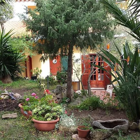 Gallura Loiri Porto San Paolo