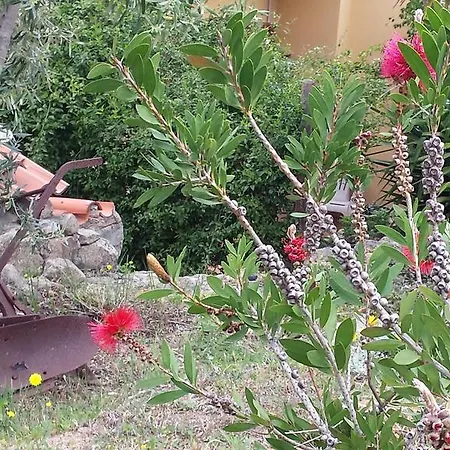 Gallura *