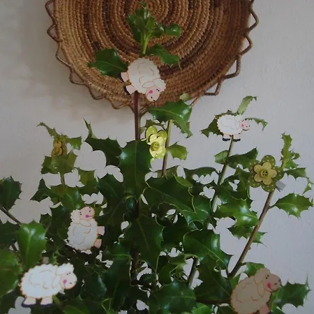 Bed & Breakfast Gallura Loiri Porto San Paolo