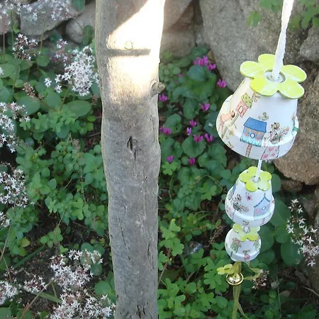 Bed & Breakfast Gallura