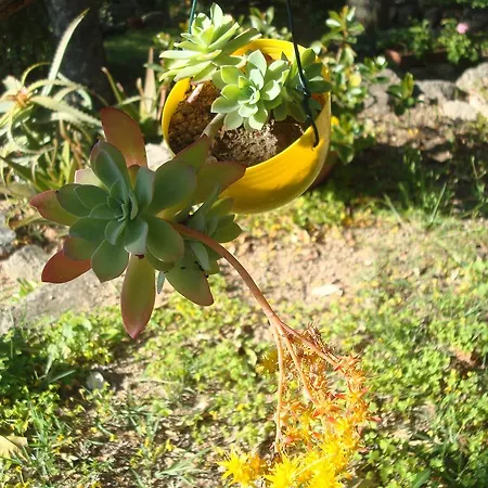 Bed & Breakfast Gallura *